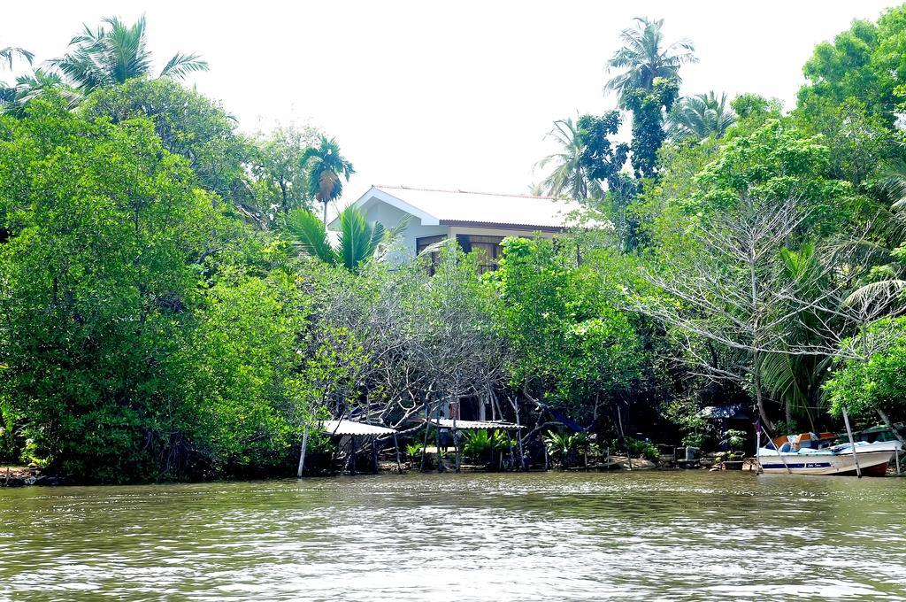 Little Swan Guest House Bentota Dış mekan fotoğraf