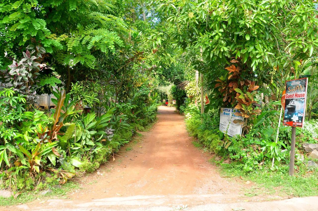 Little Swan Guest House Bentota Dış mekan fotoğraf